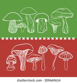 Poisonous and edible mushrooms vector table