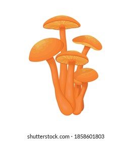 Poisonous false honey agarics with a detailed shade of light. Vector illustration of an isolated mushroom.