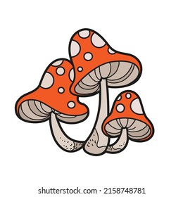 Poisonous fly agaric color variation for coloring page isolated on white background