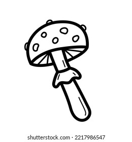 Poisonous fly agaric. Hand drawn sketch icon of mushroom. Isolated vector illustration in doodle line style.