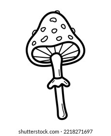 Poisonous fly agaric. Hand drawn sketch icon of amanita. Isolated vector illustration in doodle line style.