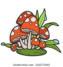 Poisonous fly agaric on moss and grass with dew color variation for coloring page isolated on white background