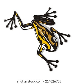 Poisonous frog