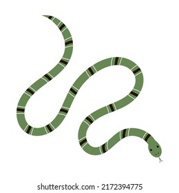 Poisonous green snake. An exotic reptile with a striped pattern. Crawling wild reptile. Tropical animal. Wildlife and fauna. Vector flat illustration isolated on white background