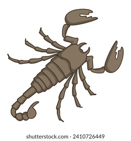 Poisonous insect scorpion on a white background. Flat vector style. Eps10