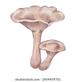 Seta venenosa Clitocybe. Ilustración con acuarelas y marcadores. Arte aislado dibujado a mano. Una Pequeña planta de bosque botánico con una capucha cerosa o ligeramente viscosa. Vector.