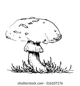 poisonous mushroom at grass, ink pen drawing, vintage style botanical illustration,  monochrome black l floral composition