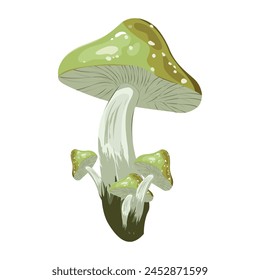 Poisonous mushroom with green mold. Autumn season, wildlife. Poisonous and edible wild mushrooms, dangerous fungi. Organic plant. Isolated icon. Vector illustration.