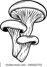 Poisonous mushroom line art, vector illustration isolated on white. Sketch style hand drawn. Decorative element for halloween or pagan witchcraft theme, black magic