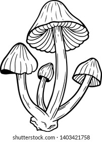 Poisonous mushroom line art, vector illustration isolated on white. Sketch style hand drawn. Decorative element for halloween or pagan witchcraft theme, black magic