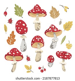 Poisonous mushroom, red caps amanita, fly agaric. Autumn forest leaves and fungus cute hand drawn vector set. Colorful seasonal print design.