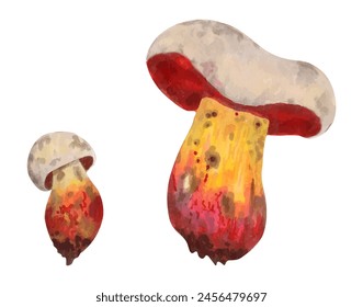 Seta venenosa Rubroboletus satanas (seta satánica). Ilustración con acuarelas y marcadores. Arte aislado dibujado a mano. Planta de bosque mágico botánico. Naturaleza salvaje. Vector.