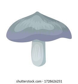Poisonous mushroom vector icon.Cartoon vector icon isolated on white background poisonous mushroom.