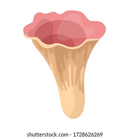 Poisonous mushroom vector icon.Cartoon vector icon isolated on white background poisonous mushroom.