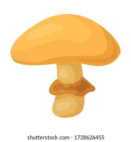 Poisonous mushroom vector icon.Cartoon vector icon isolated on white background poisonous mushroom.