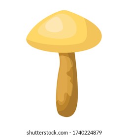 Poisonous mushroom vector icon.Cartoon vector icon isolated on white background poisonous mushroom.