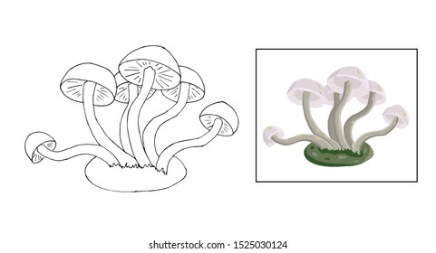 Poisonous mushroom vector. Outline style, fantasy plant  isolated on white. Coloring book for children. Game and education. Botanical coloring pages