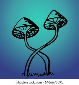 poisonous mushrooms with a black outline. vector illustration.