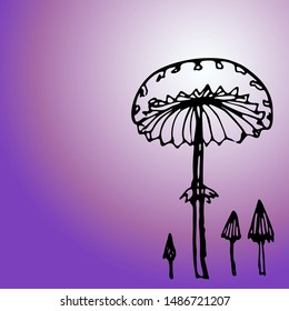 poisonous mushrooms with a black outline. vector illustration.