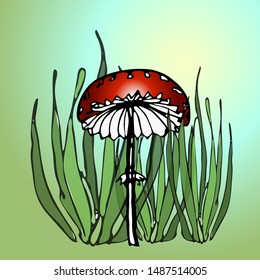 poisonous mushrooms with a black outline. vector illustration.