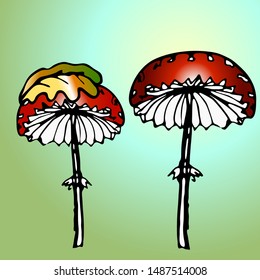 poisonous mushrooms with a black outline. vector illustration.