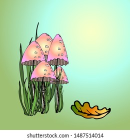 poisonous mushrooms with a black outline. vector illustration.