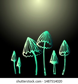 poisonous mushrooms with a black outline. vector illustration.