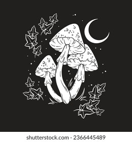 Poisonous mushrooms fly agaric toadstool hand drawn in graphic style isolated vector illustration