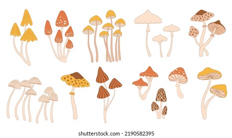 Poisonous mushrooms. Hippie psychedelic mushroom drawing