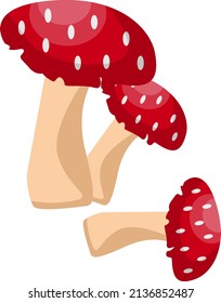 Poisonous mushrooms, illustration, vector on a white background.