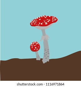 Poisonous mushrooms of muhamora