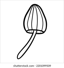 Poisonous mushrooms , toadstool, inedible toxic mushroom, fly agaric, white toadstool. Isolated hand drawn doodle illustration on a white background. Potion ingredient, Magic, Halloween