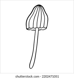 Poisonous mushrooms , toadstool, inedible toxic mushroom, fly agaric, white toadstool. Isolated hand drawn doodle illustration on a white background. Potion ingredient, Magic, Halloween