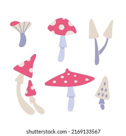 Poisonous mushrooms, toadstools, fly agaric, cartoon style. Trendy modern vector illustration isolated on white background, hand drawn, flat design.