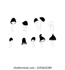 Poisonous mushrooms Vector illustration drawn by hand, family of inedible mushrooms Dangerous mushrooms, toadstool, fly agaric, white toadstool, family of mushrooms isolated on a white background