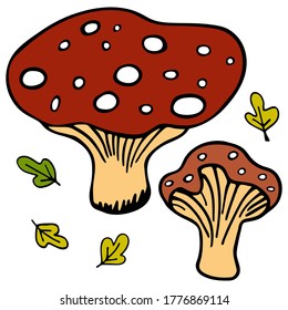 Giftige Pilze. Vektorgrafik-Illustrator