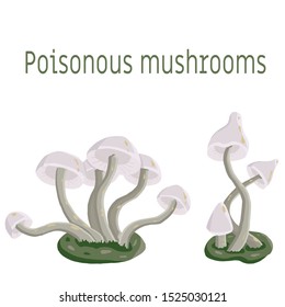 Poisonous mushrooms vector set. Beige and gray color plant design isolated on white