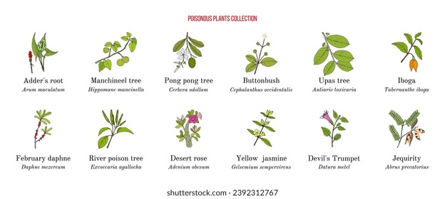 Poisonous plants collection. Hand drawn vector set of medicinal herbs