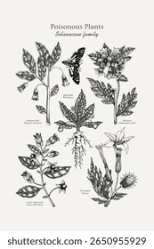 Poisonous plants poster design template. Botanical print. Witch herbs sketches collection. Vintage wall art. Science hand drawn vector illustration. NOT AI generated