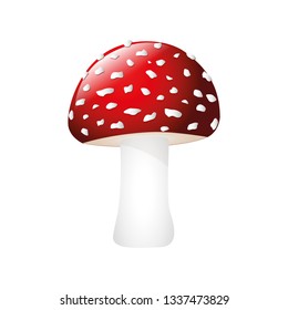poisonous red fly agaric isolated on white background vector illustration EPS10