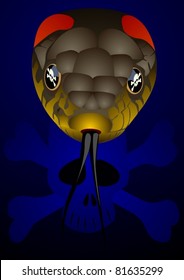 Poisonous snake and skull and crossbones icon. The illustration on blue background.
