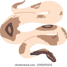 Poisonous snake tropical serpent vector illustration