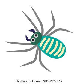 Poisonous spider. Hand drawn vector flat. Arthropod. Insect, hexapod. Animal. Pest. Scary spinner, caterpillar. Color illustration.