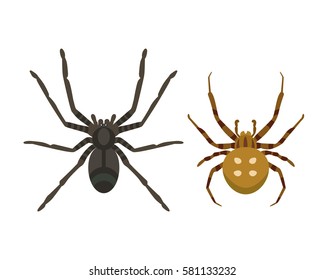 Poisonous spider silhouette arachnid fear graphic flat scary animal poisonous design nature phobia insect danger horror tarantula halloween poisonous black spider vector icon. 