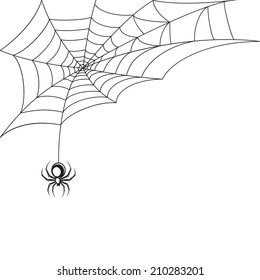 Poisonous spider web Halloween symbol wallpaper template vector illustration