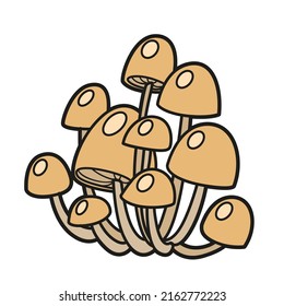 Poisonous toadstool mushrooms color variation for coloring page isolated on white background