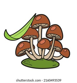 Poisonous toadstool mushrooms with stalk of grass color variation for coloring page isolated on white background