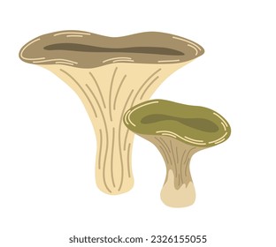 Poisonous toadstool mushrooms. Wild forest mushrooms in autumn. Vector Hand draw Illustration isolated on the white background. 