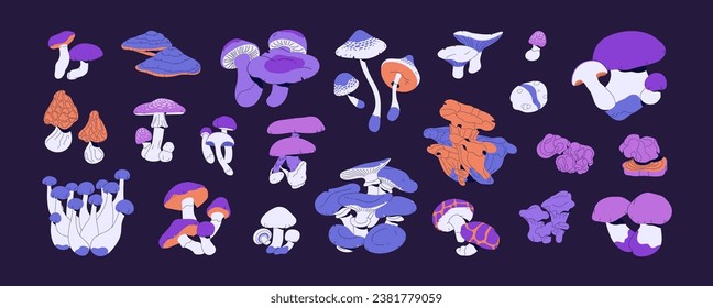 Poisonous, toxic mushrooms set. Psychedelic inedible fungi. Various hallucinogenic bolete: agaric, amanita, false honey fungus. Venomous nature, fairy toadstools. Flat isolated vector illustration.