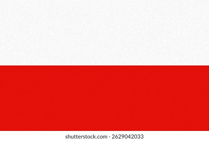 Poland flag with paper texture wall background. Vector illustration 